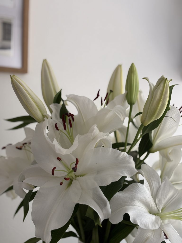 white flowers blooming